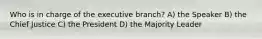 Who is in charge of the executive branch? A) the Speaker B) the Chief Justice C) the President D) the Majority Leader