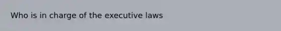 Who is in charge of the executive laws