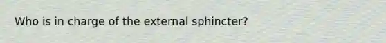 Who is in charge of the external sphincter?