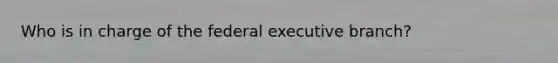 Who is in charge of the federal executive branch?