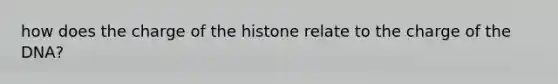 how does the charge of the histone relate to the charge of the DNA?