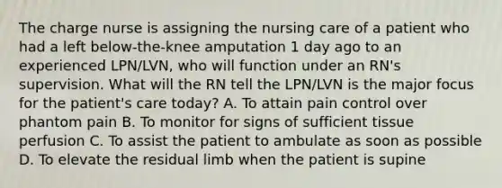 The charge nurse is assigning the nursing care of a patient who had a left below-the-knee amputation 1 day ago to an experienced LPN/LVN, who will function under an RN's supervision. What will the RN tell the LPN/LVN is the major focus for the patient's care today? A. To attain pain control over phantom pain B. To monitor for signs of sufficient tissue perfusion C. To assist the patient to ambulate as soon as possible D. To elevate the residual limb when the patient is supine