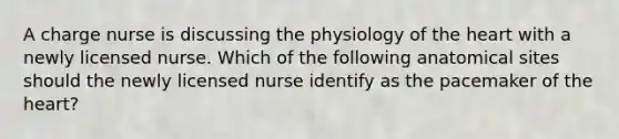 A charge nurse is discussing the physiology of the heart with a newly licensed nurse. Which of the following anatomical sites should the newly licensed nurse identify as the pacemaker of the heart?