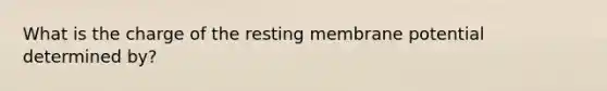 What is the charge of the resting membrane potential determined by?