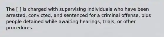 The [ ] is charged with supervising individuals who have been arrested, convicted, and sentenced for a criminal offense, plus people detained while awaiting hearings, trials, or other procedures.