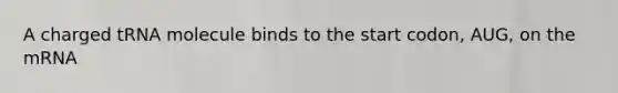 A charged tRNA molecule binds to the start codon, AUG, on the mRNA