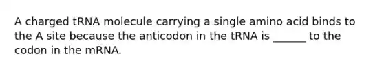 A charged tRNA molecule carrying a single amino acid binds to the A site because the anticodon in the tRNA is ______ to the codon in the mRNA.