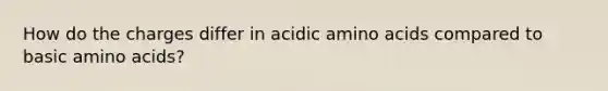 How do the charges differ in acidic amino acids compared to basic amino acids?