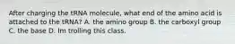 After charging the tRNA molecule, what end of the amino acid is attached to the tRNA? A. the amino group B. the carboxyl group C. the base D. Im trolling this class.