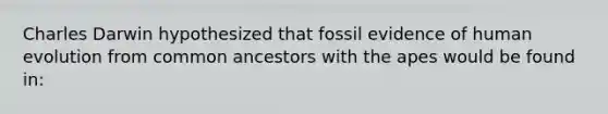 Charles Darwin hypothesized that fossil evidence of human evolution from common ancestors with the apes would be found in: