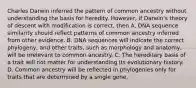 Charles Darwin inferred the pattern of common ancestry without understanding the basis for heredity. However, if Darwin's theory of descent with modification is correct, then A. DNA sequence similarity should reflect patterns of common ancestry inferred from other evidence. B. DNA sequences will indicate the correct phylogeny, and other traits, such as morphology and anatomy, will be irrelevant to common ancestry. C. The hereditary basis of a trait will not matter for understanding its evolutionary history. D. Common ancestry will be reflected in phylogenies only for traits that are determined by a single gene.