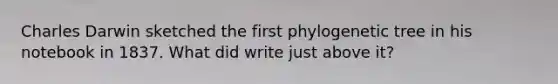 Charles Darwin sketched the first phylogenetic tree in his notebook in 1837. What did write just above it?