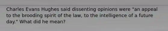 Charles Evans Hughes said dissenting opinions were "an appeal to the brooding spirit of the law, to the intelligence of a future day." What did he mean?