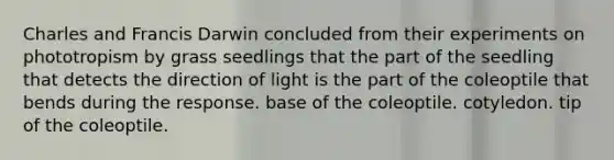 Charles and Francis Darwin concluded from their experiments on phototropism by grass seedlings that the part of the seedling that detects the direction of light is the part of the coleoptile that bends during the response. base of the coleoptile. cotyledon. tip of the coleoptile.