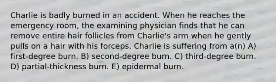 Charlie is badly burned in an accident. When he reaches the emergency room, the examining physician finds that he can remove entire hair follicles from Charlie's arm when he gently pulls on a hair with his forceps. Charlie is suffering from a(n) A) first-degree burn. B) second-degree burn. C) third-degree burn. D) partial-thickness burn. E) epidermal burn.