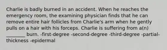 Charlie is badly burned in an accident. When he reaches the emergency room, the examining physician finds that he can remove entire hair follicles from Charlie's arm when he gently pulls on a hair with his forceps. Charlie is suffering from a(n) ________ burn. -first-degree -second-degree -third-degree -partial-thickness -epidermal