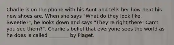 Charlie is on the phone with his Aunt and tells her how neat his new shoes are. When she says "What do they look like, Sweetie?", he looks down and says "They're right there! Can't you see them?". Charlie's belief that everyone sees the world as he does is called ________ by Piaget.