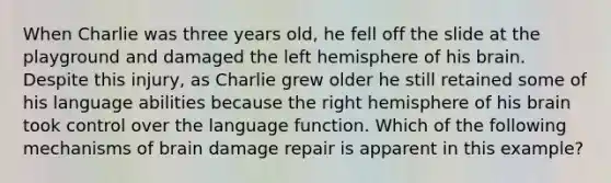 When Charlie was three years old, he fell off the slide at the playground and damaged the left hemisphere of his brain. Despite this injury, as Charlie grew older he still retained some of his language abilities because the right hemisphere of his brain took control over the language function. Which of the following mechanisms of brain damage repair is apparent in this example?