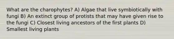 What are the charophytes? A) Algae that live symbiotically with fungi B) An extinct group of protists that may have given rise to the fungi C) Closest living ancestors of the first plants D) Smallest living plants