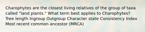 Charophytes are the closest living relatives of the group of taxa called "land plants." What term best applies to Charophytes? Tree length Ingroup Outgroup Character state Consistency Index Most recent common ancestor (MRCA)