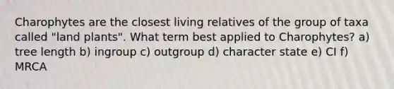 Charophytes are the closest living relatives of the group of taxa called "land plants". What term best applied to Charophytes? a) tree length b) ingroup c) outgroup d) character state e) CI f) MRCA