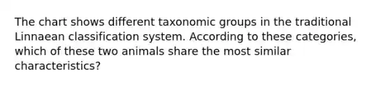 The chart shows different taxonomic groups in the traditional Linnaean classification system. According to these categories, which of these two animals share the most similar characteristics?