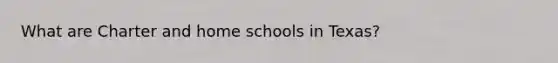 What are Charter and home schools in Texas?