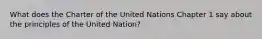 What does the Charter of the United Nations Chapter 1 say about the principles of the United Nation?