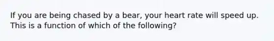 If you are being chased by a bear, your heart rate will speed up. This is a function of which of the following?