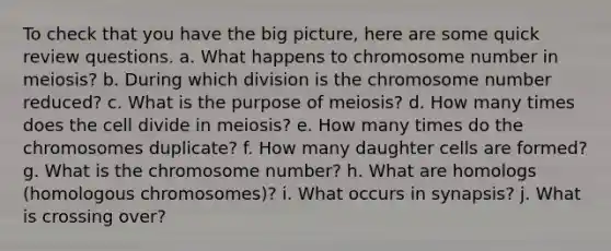 To check that you have the big picture, here are some quick review questions. a. What happens to chromosome number in meiosis? b. During which division is the chromosome number reduced? c. What is the purpose of meiosis? d. How many times does the cell divide in meiosis? e. How many times do the chromosomes duplicate? f. How many daughter cells are formed? g. What is the chromosome number? h. What are homologs (homologous chromosomes)? i. What occurs in synapsis? j. What is crossing over?