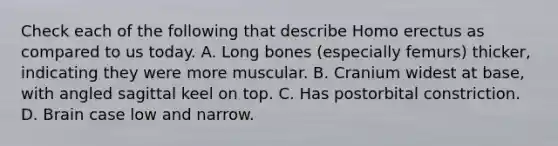 Check each of the following that describe Homo erectus as compared to us today. A. Long bones (especially femurs) thicker, indicating they were more muscular. B. Cranium widest at base, with angled sagittal keel on top. C. Has postorbital constriction. D. Brain case low and narrow.