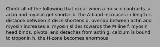 Check all of the following that occur when a muscle contracts. a. actin and myosin get shorter b. the A-band increases in length c. distance between Z-discs shortens d. overlap between actin and myosin increases e. myosin slides towards the M-line f. myosin head binds, pivots, and detaches from actin g. calcium is bound to troponin h. the H-zone becomes enormous