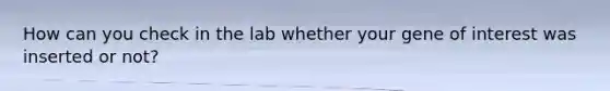 How can you check in the lab whether your gene of interest was inserted or not?