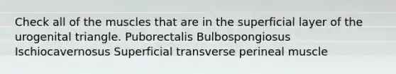 Check all of the muscles that are in the superficial layer of the urogenital triangle. Puborectalis Bulbospongiosus Ischiocavernosus Superficial transverse perineal muscle