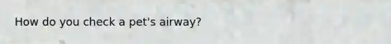How do you check a pet's airway?