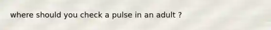 where should you check a pulse in an adult ?