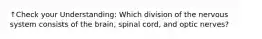 ↑Check your Understanding: Which division of the nervous system consists of the brain, spinal cord, and optic nerves?