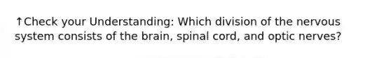 ↑Check your Understanding: Which division of the nervous system consists of the brain, spinal cord, and optic nerves?