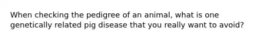 When checking the pedigree of an animal, what is one genetically related pig disease that you really want to avoid?