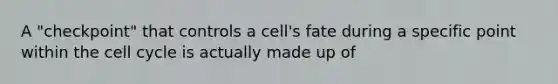 A "checkpoint" that controls a cell's fate during a specific point within the cell cycle is actually made up of