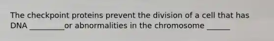 The checkpoint proteins prevent the division of a cell that has DNA _________or abnormalities in the chromosome ______
