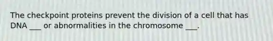 The checkpoint proteins prevent the division of a cell that has DNA ___ or abnormalities in the chromosome ___.