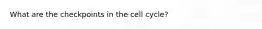 What are the checkpoints in the cell cycle?