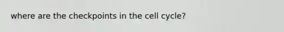 where are the checkpoints in the cell cycle?