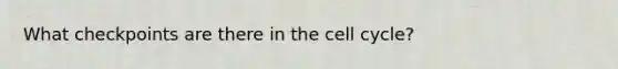 What checkpoints are there in the cell cycle?