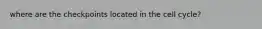 where are the checkpoints located in the cell cycle?
