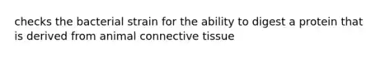 checks the bacterial strain for the ability to digest a protein that is derived from animal <a href='https://www.questionai.com/knowledge/kYDr0DHyc8-connective-tissue' class='anchor-knowledge'>connective tissue</a>