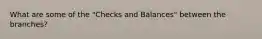 What are some of the "Checks and Balances" between the branches?