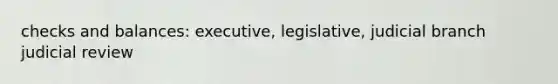 checks and balances: executive, legislative, judicial branch judicial review