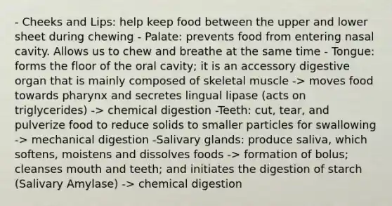 - Cheeks and Lips: help keep food between the upper and lower sheet during chewing - Palate: prevents food from entering nasal cavity. Allows us to chew and breathe at the same time - Tongue: forms the floor of the oral cavity; it is an accessory digestive organ that is mainly composed of skeletal muscle -> moves food towards pharynx and secretes lingual lipase (acts on triglycerides) -> chemical digestion -Teeth: cut, tear, and pulverize food to reduce solids to smaller particles for swallowing -> mechanical digestion -Salivary glands: produce saliva, which softens, moistens and dissolves foods -> formation of bolus; cleanses mouth and teeth; and initiates the digestion of starch (Salivary Amylase) -> chemical digestion